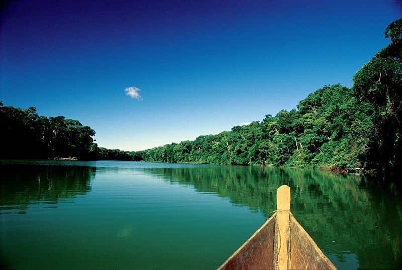 Nueva plataforma de mapeo de incidencia en la región amazónica