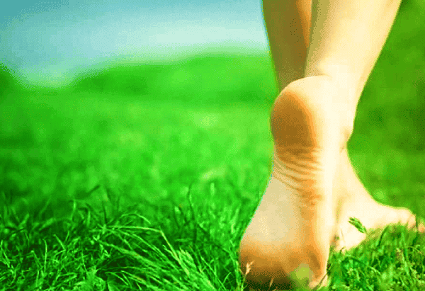 Considerações sobre o Corpo e as Adições nos Exercícios Inacianos