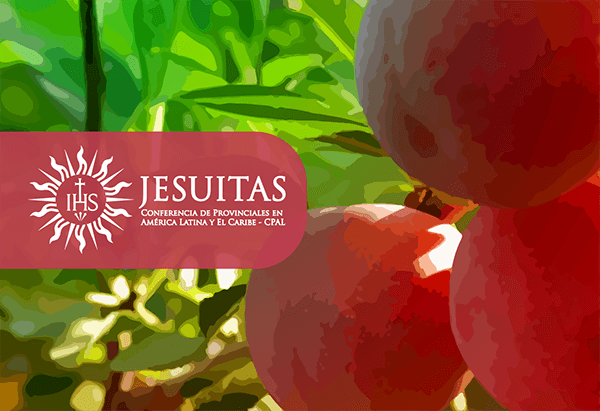 Producir a tiempo frutos buenos (Mateo 21, 33-43)