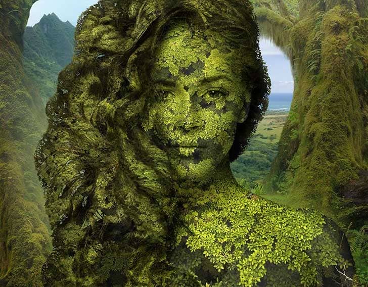 Concepción del ser humano en el marco de una ecología integral