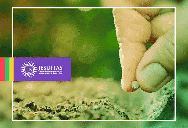 Lo mismo de noche que de día, la semilla nace y crece sin que él sepa cómo (Marcos, 4, 26-34)