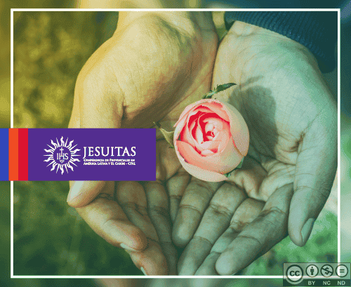 Como Cristo Rey: Testigos y constructores de la verdad y la caridad (Juan 18, 33-37) 