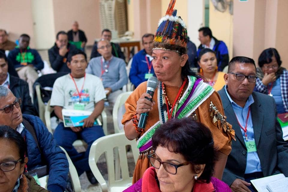 Desafíos para la Panamazonía y Asambleas Territoriales hacia el Sínodo