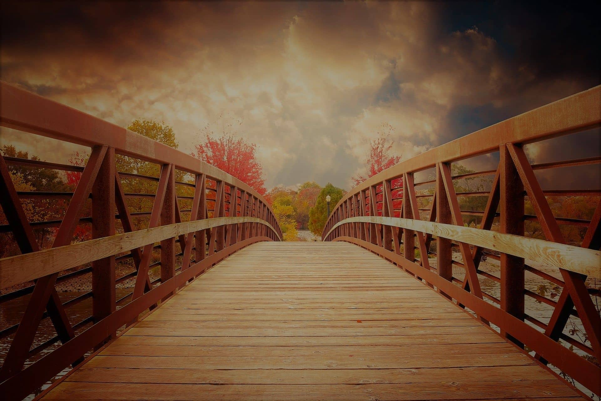 Tender puentes tender muros. Por: Martin Maier S.J.