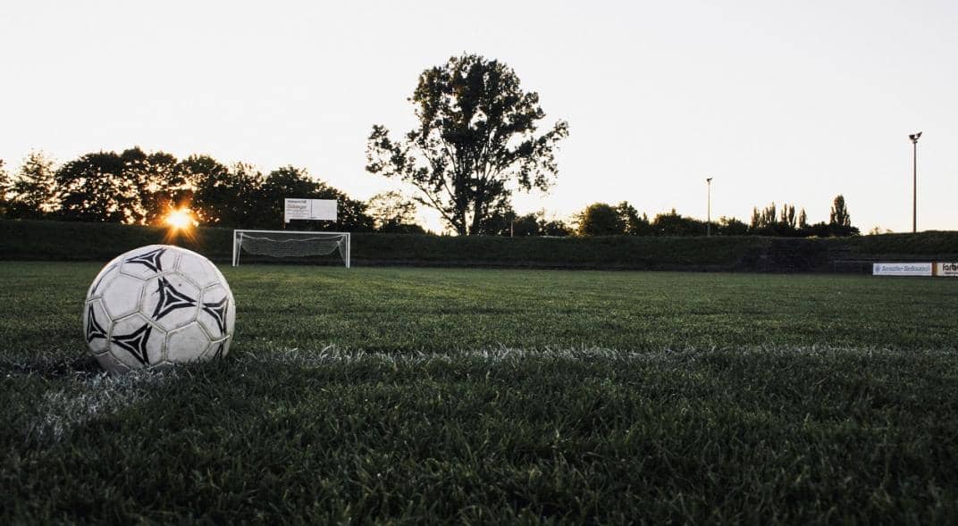 Comunicar para alcanzar el amor: De la gratitud a la donación
