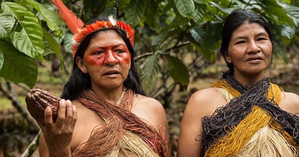 Día 5 - 40 días por el río: Sínodo de la Amazonía hace florecer la palabra para que sea escuchada