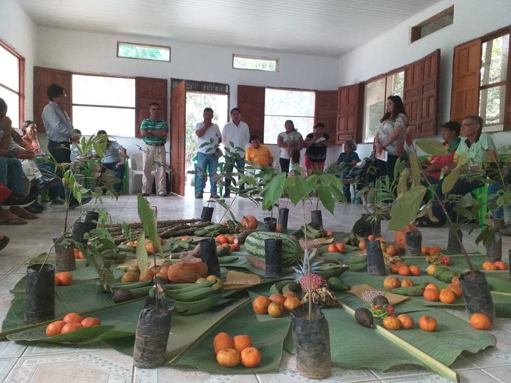 Encuentro del Eje de Justicia socio-ambiental y buen vivir de la REPAM