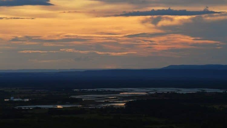 Cardenal Barreto: Los jóvenes reclaman un cambio para un futuro mejor