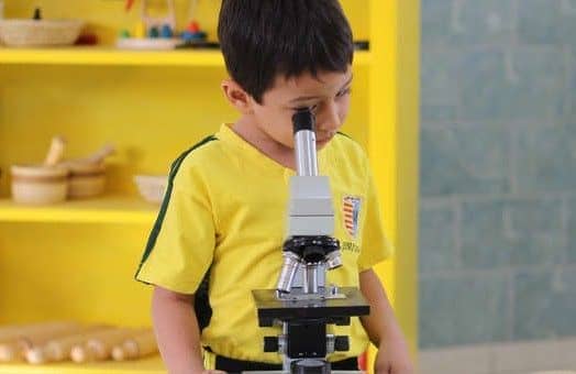 Quince años de la promulgación del Proyecto Educativo Común