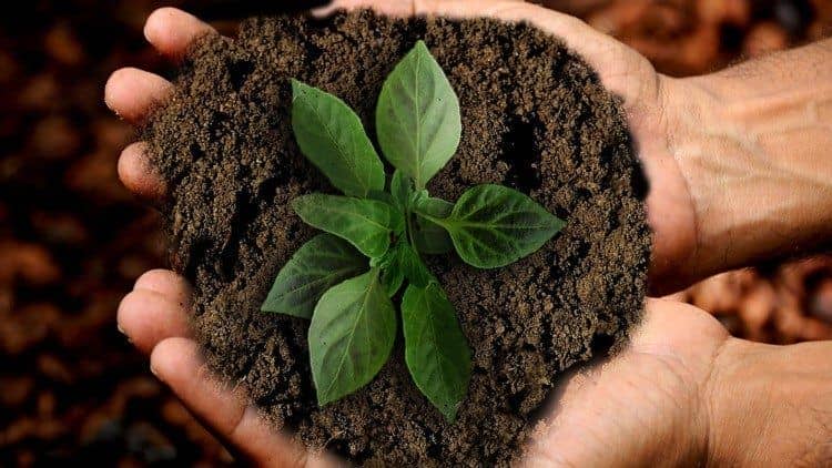 Comienza la Semana Laudato si': Construir juntos un mundo mejor