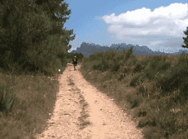 Centro Virtual de Pedagogía Ignaciana: La educación jesuita en 