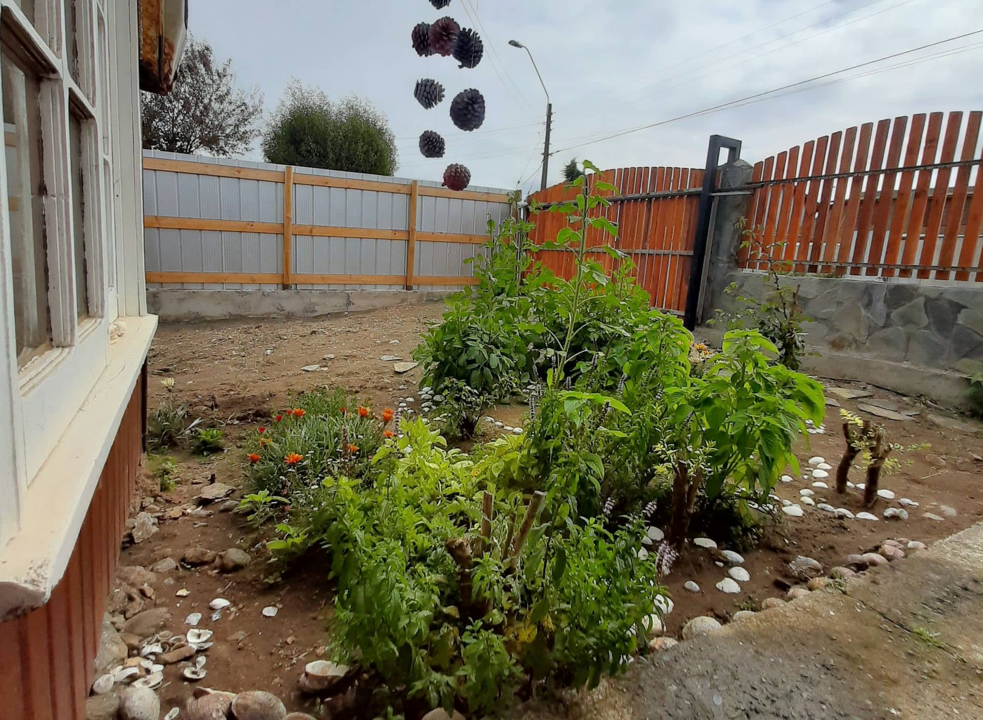 El jardín de la resistencia. Por: Jeannette Curinao Alcavil