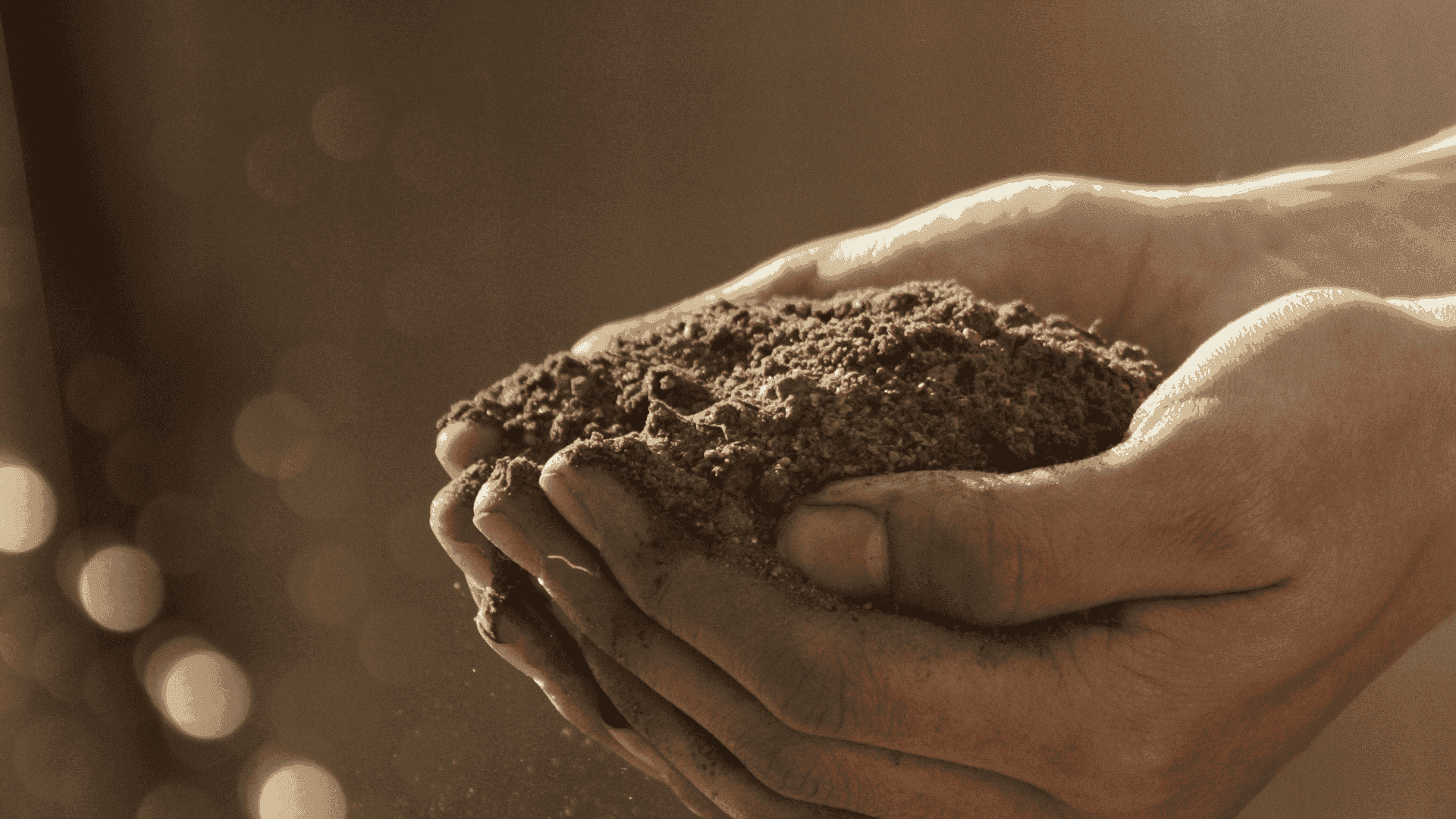 “... a cada uno según su capacidad” (Mateo 25, 14-30)