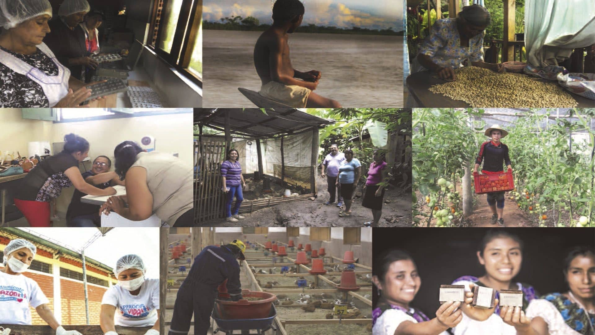 La Red COMPARTE y su primera asamblea 2021