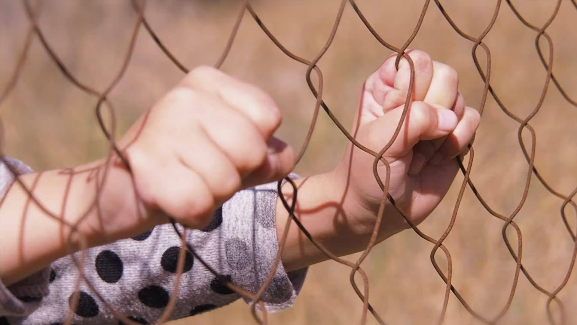 Video del Papa - Abril 2021: Derechos fundamentales