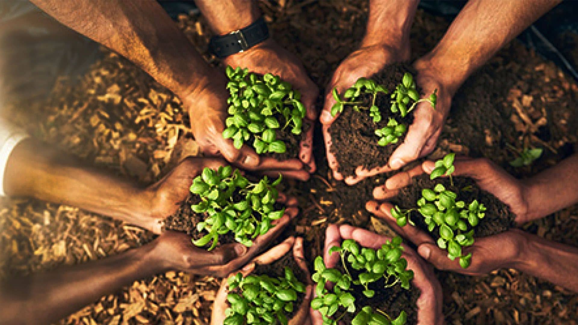 Compañía de Jesús contribuirá con Plataforma de Acción Laudato Si'