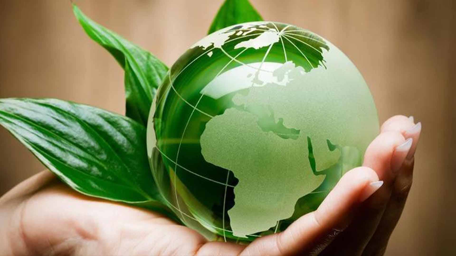 Reporte del Grupo de Referentes de Ecología de la CPAL