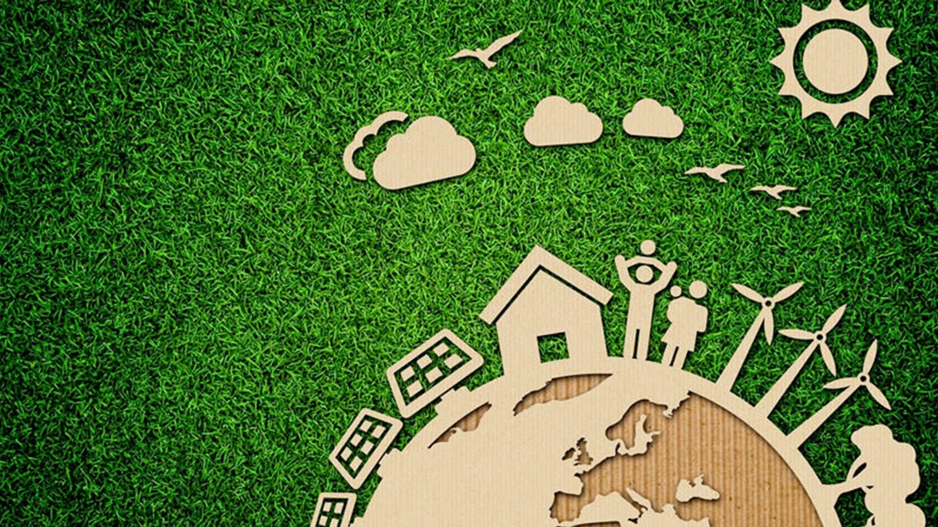 Hacia una economía verde...