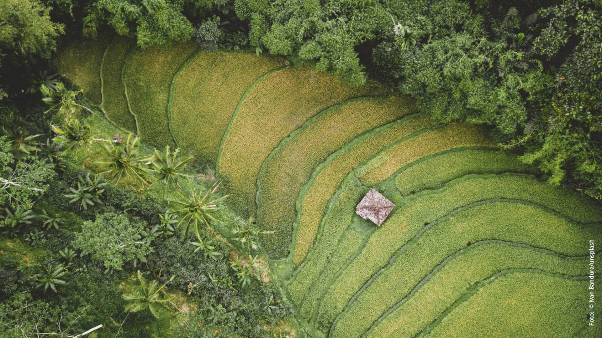 Pobreza y fragilidad del planeta