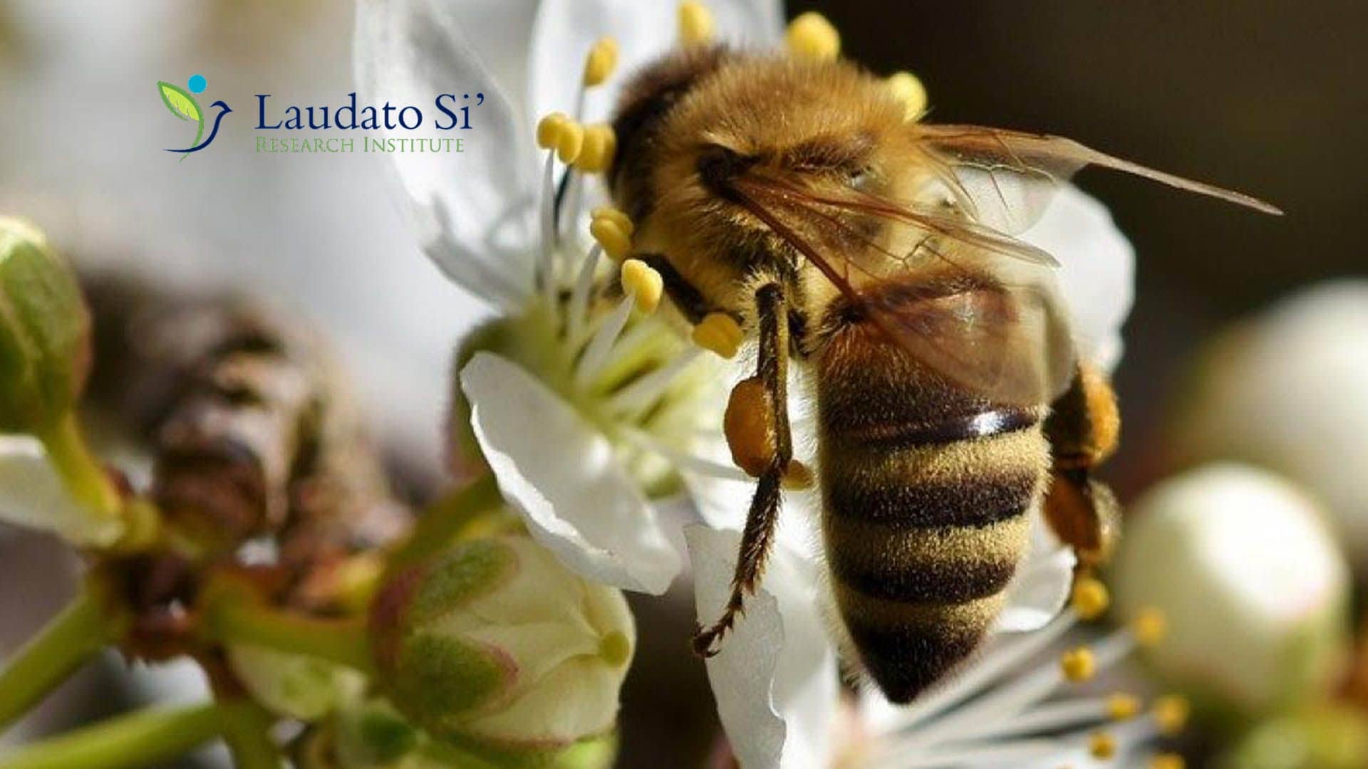 Grupo de Homólogos de Ecología de la RCS presente en evento 