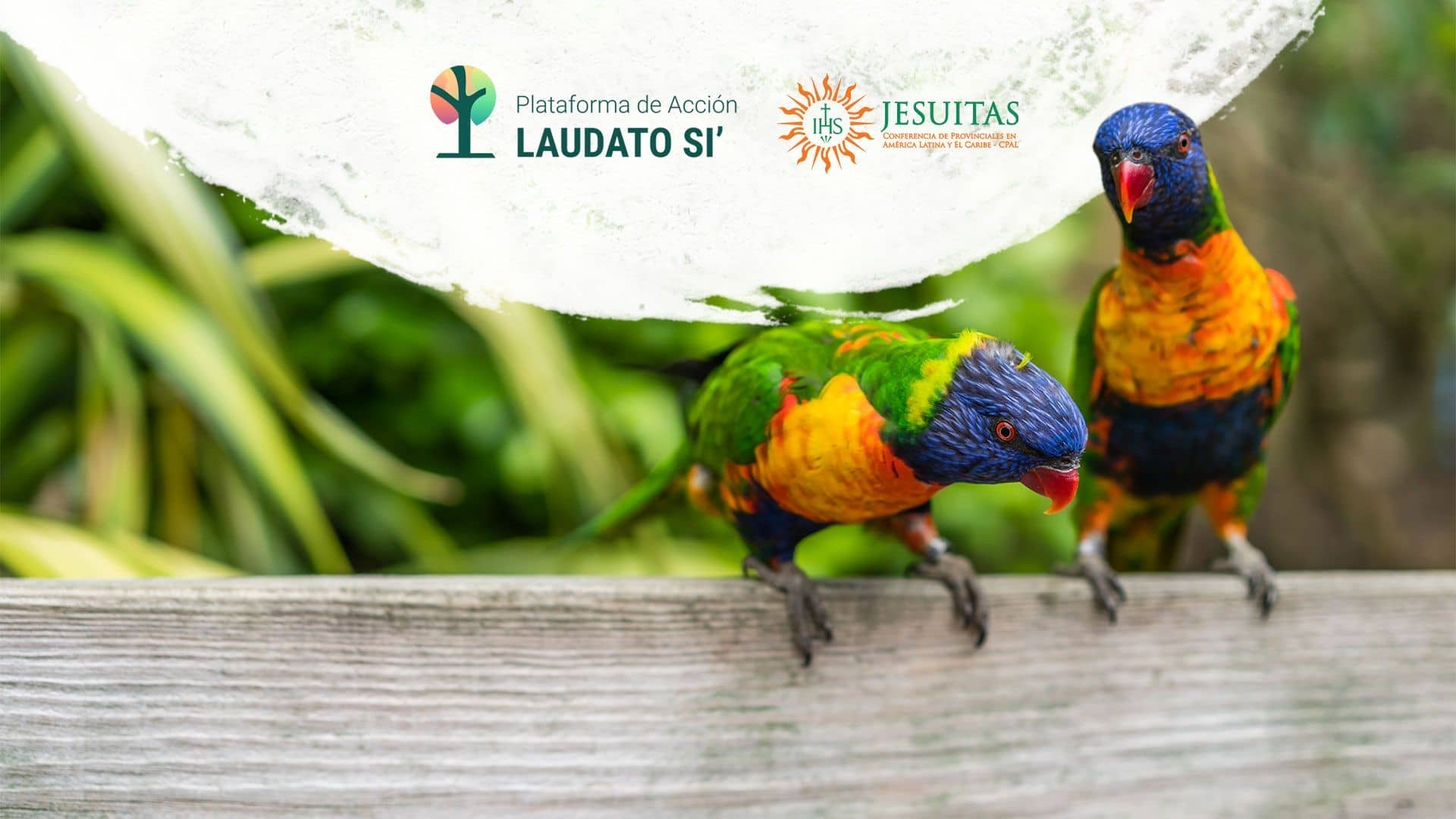 ¡Únete a la Plataforma Laudato Si!
