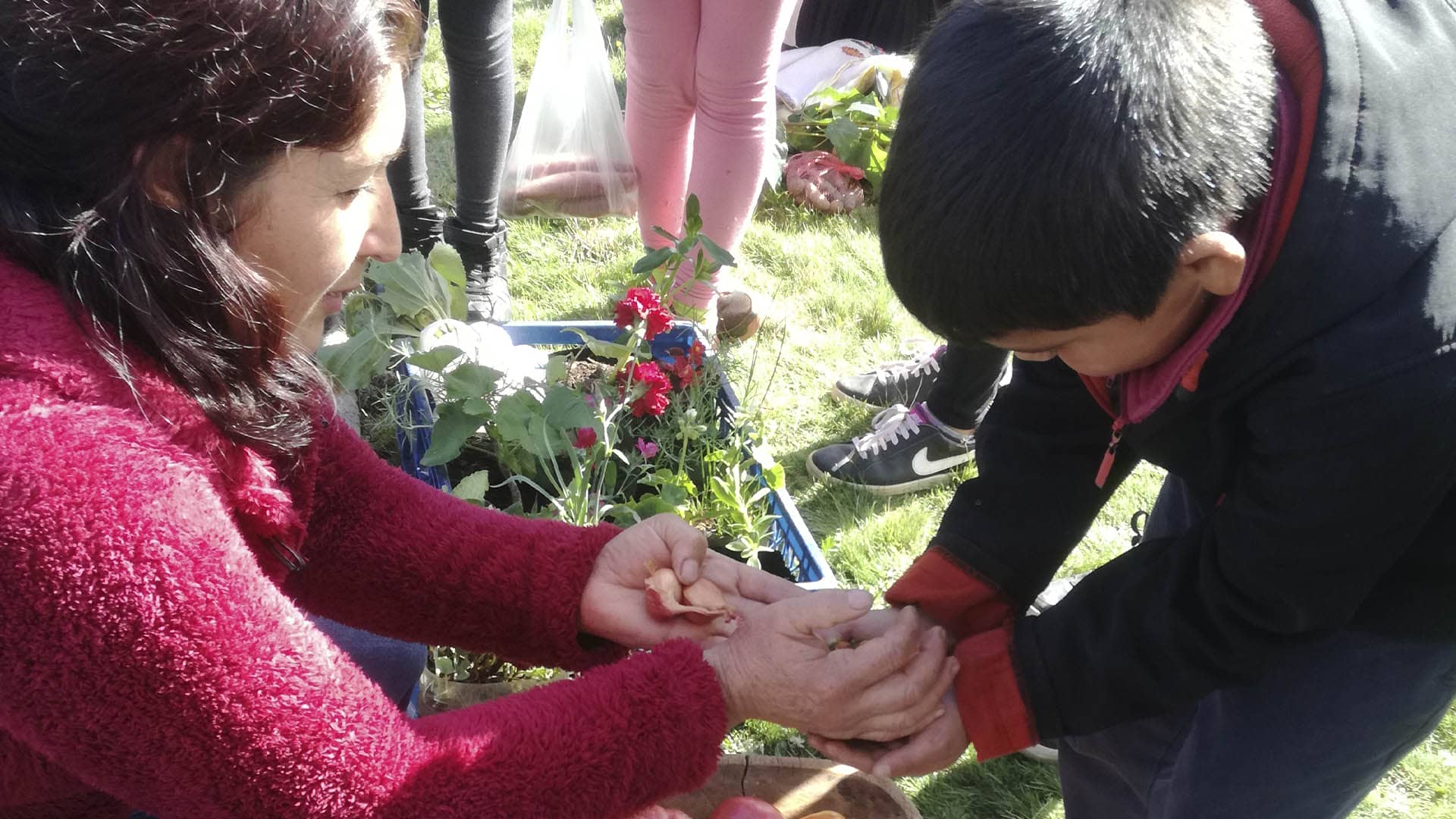 Las resistencias cotidianas de la Red de mujeres del lavkenmapu