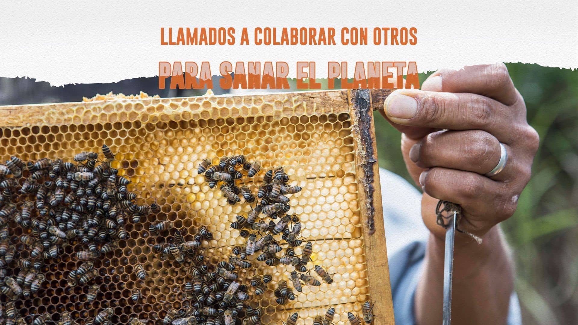 Guía de Oración N° 14 por el Año Ignaciano