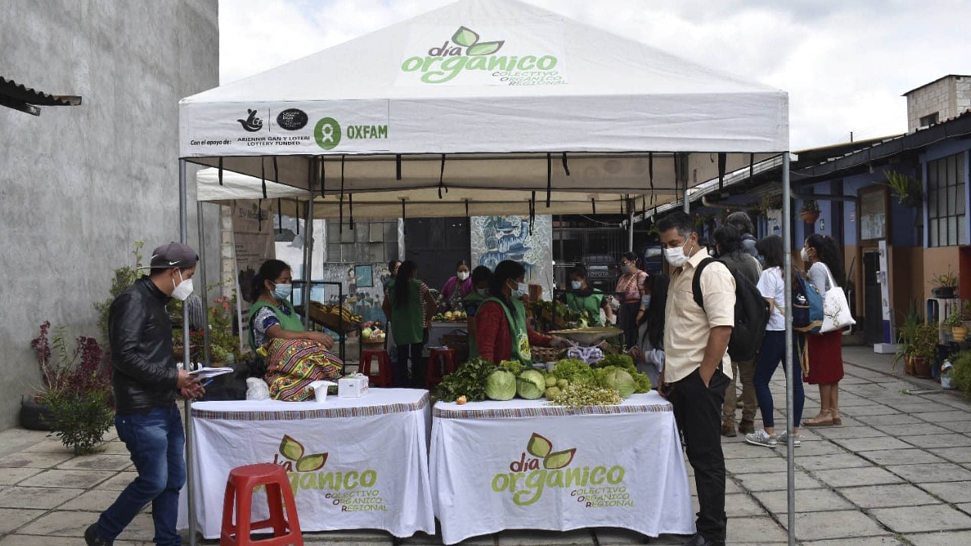 I Encuentro de experiencias del SPG de la Red Comparte