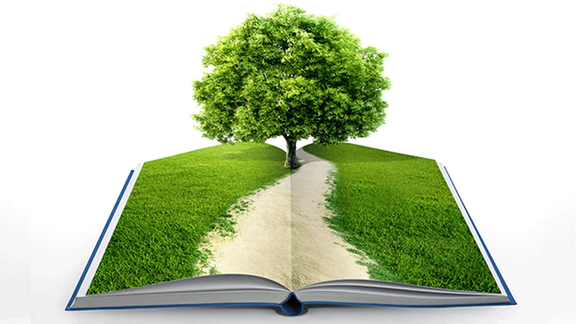 Educación y Ecología en FLACSI: una ecuación hacia un futuro esperanzador