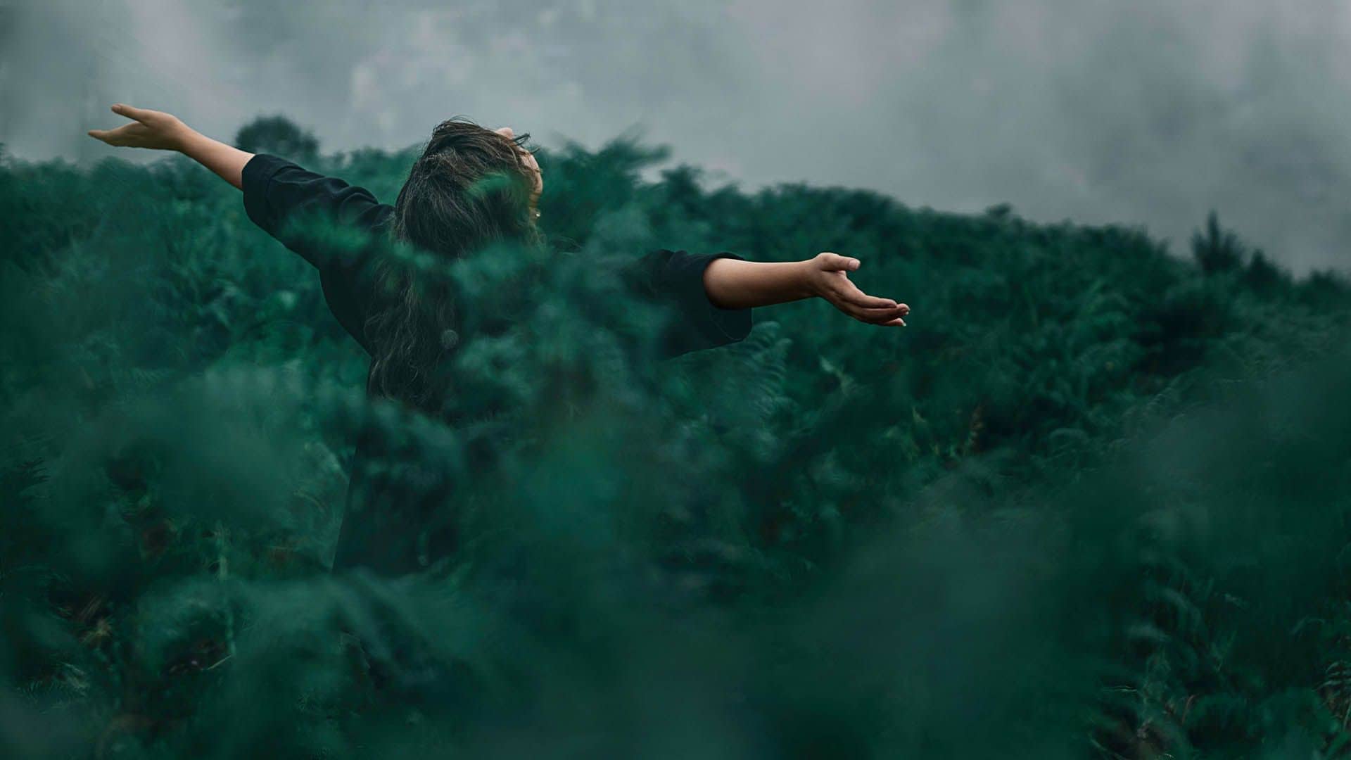 Ocho caminos ignacianos para encontrar la verdadera libertad