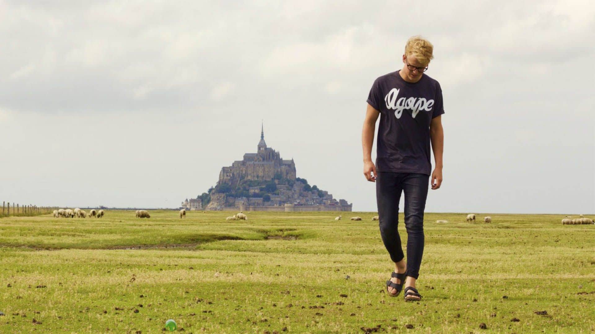 ¿Cuál es la tarea de los cristianos en la sociedad actual?