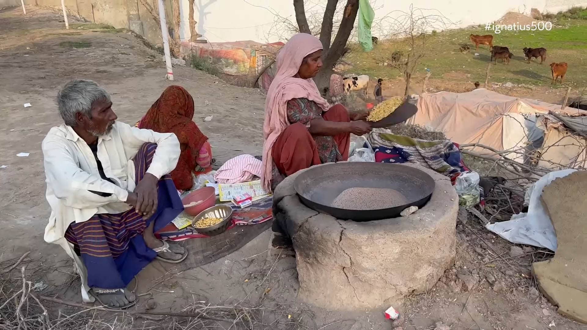 Videomensaje N° 7 del P. General: 