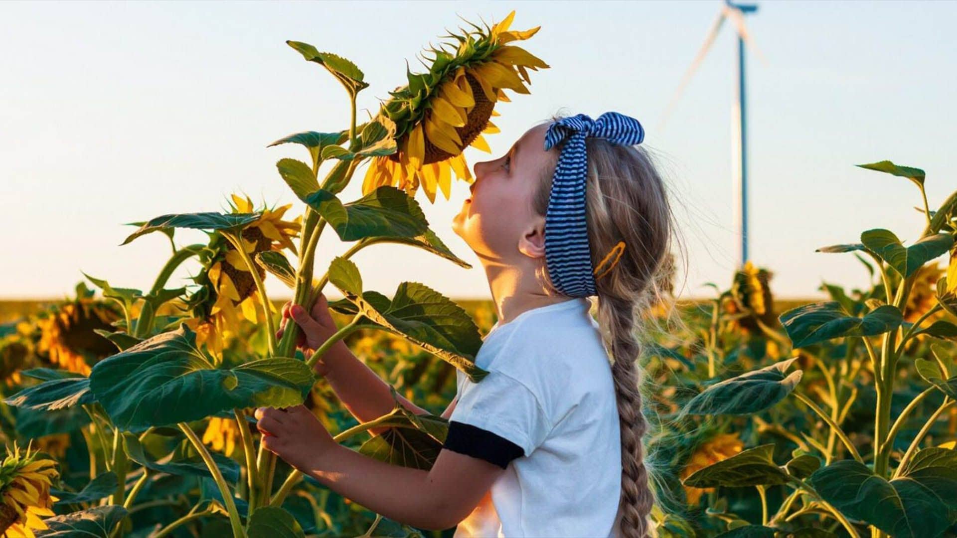 Por una ecobiografía en tiempos de la crisis ecológica