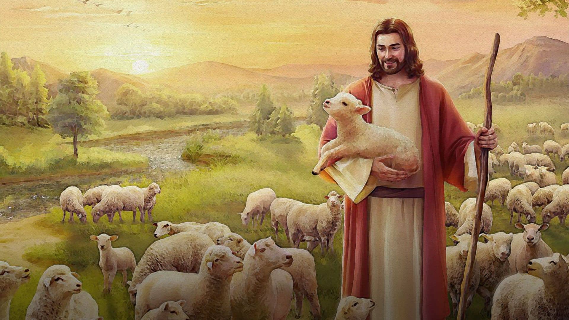 Homilía del Domingo 08 de mayo
