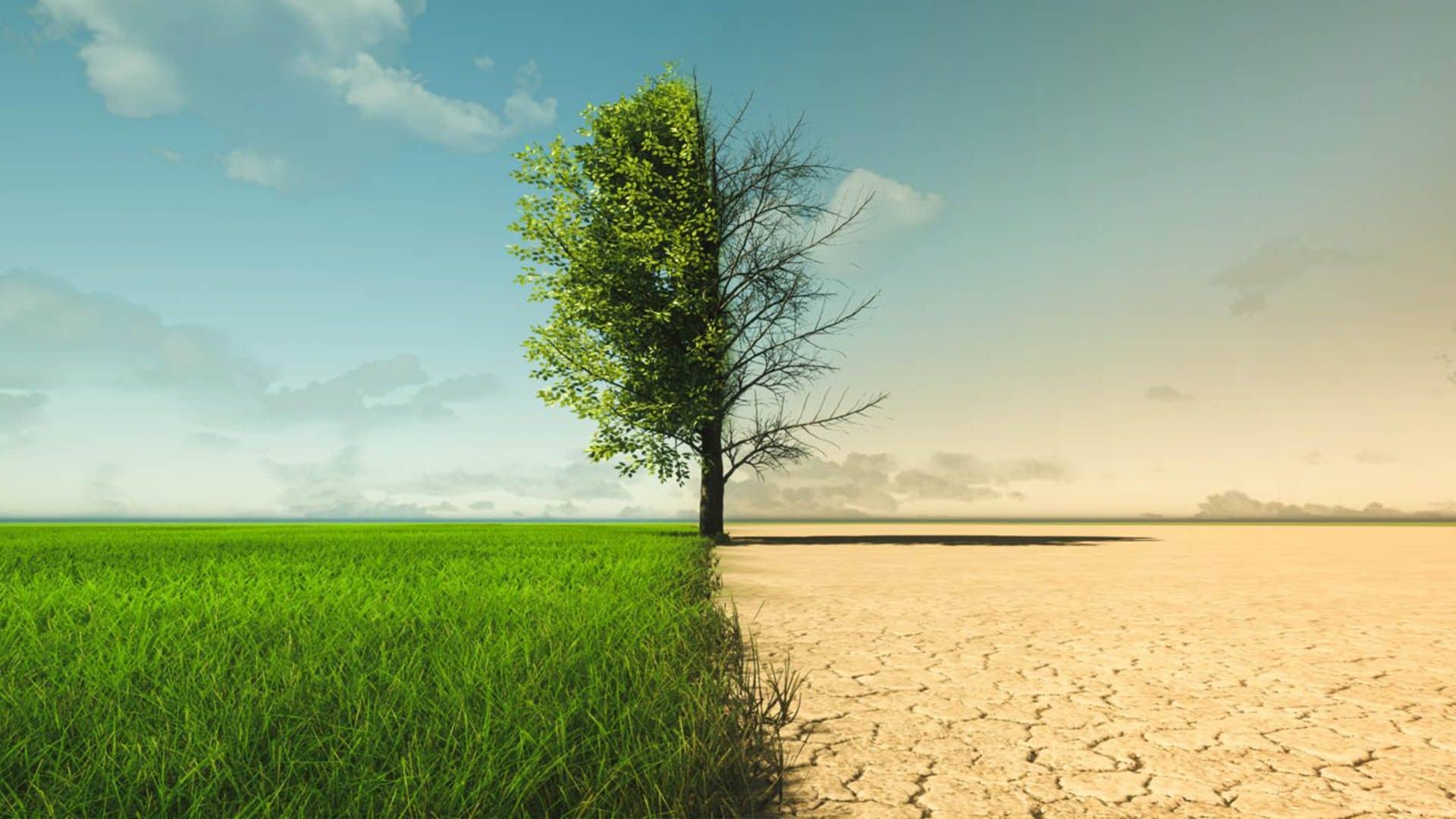 El problema del agua