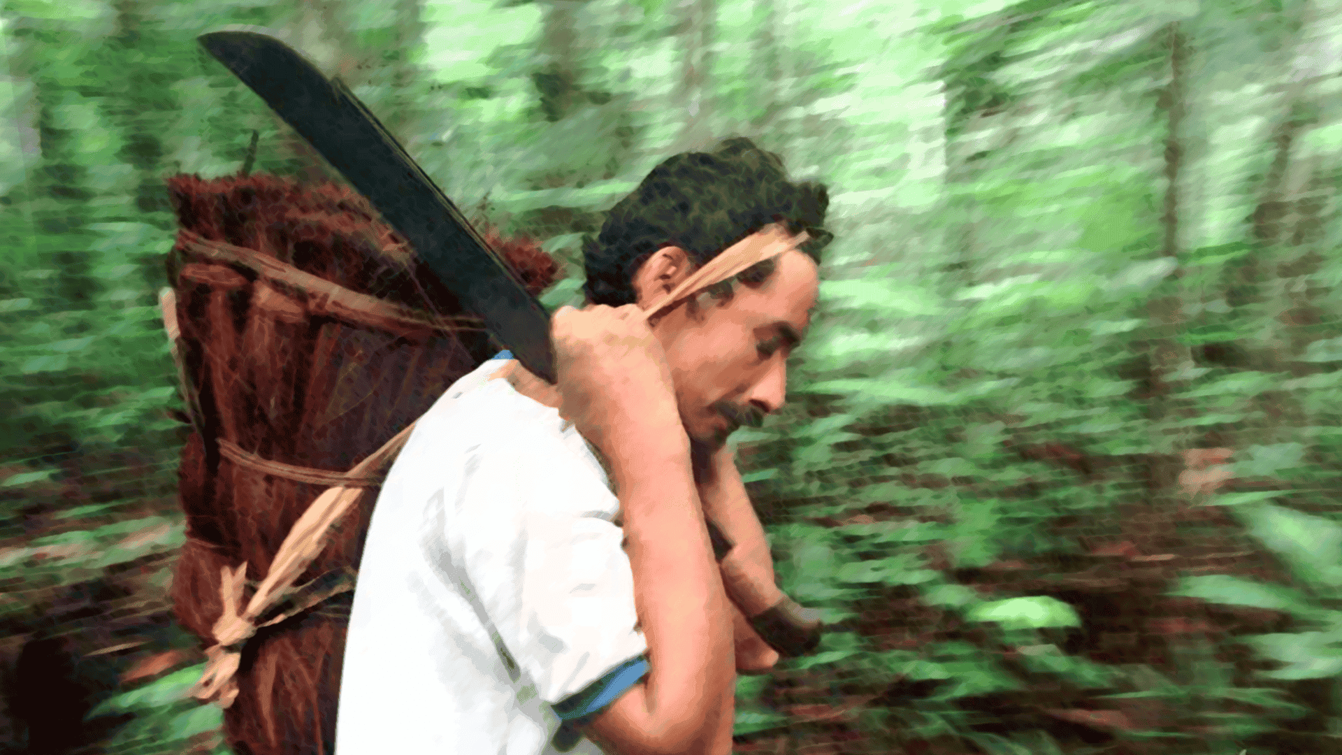 Conociendo el Nicho Etnolingüístico KISÍYULI JANI