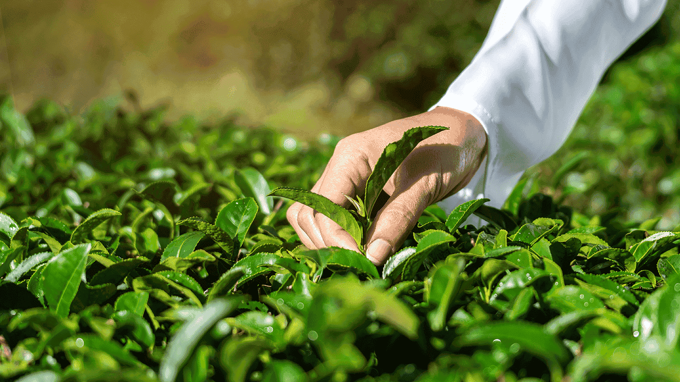 El SJES publica su Informe anual 2022