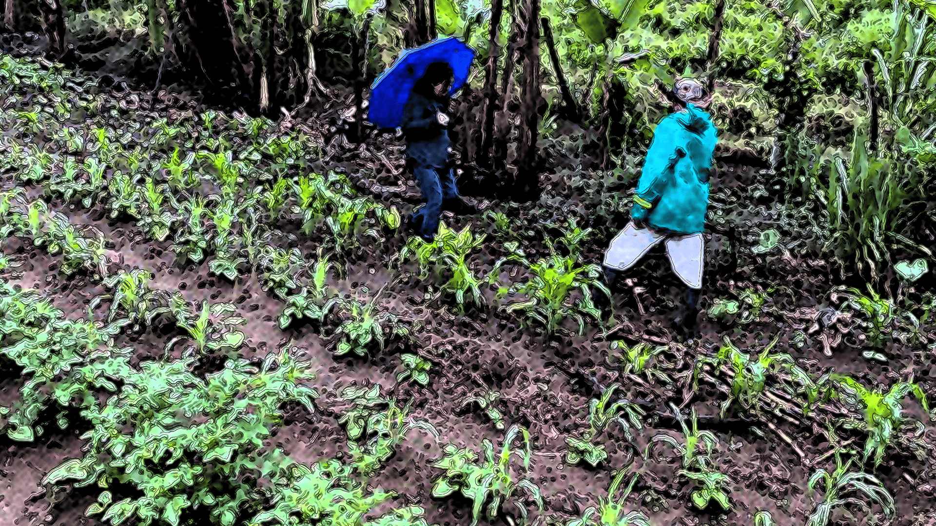Tercera Asamblea virtual de la Red COMPARTE en 2023