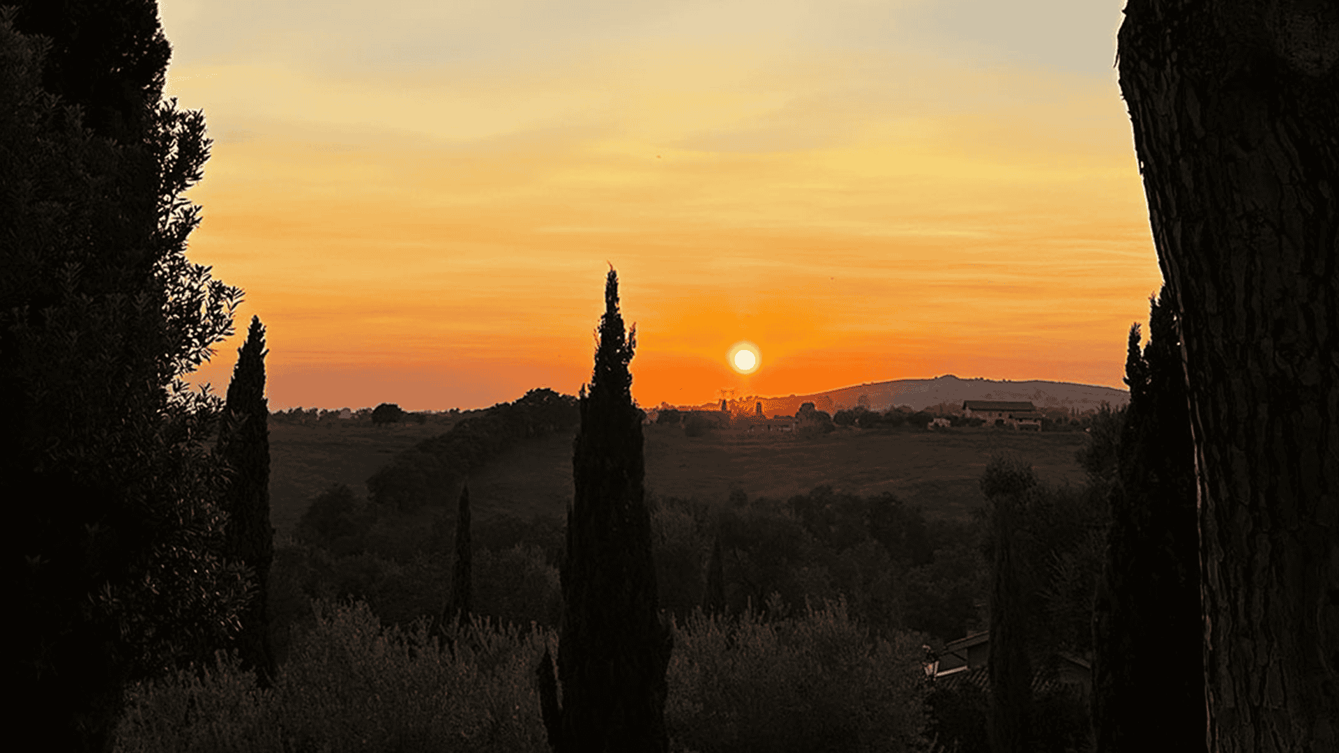 Vivir el retiro en el Sínodo