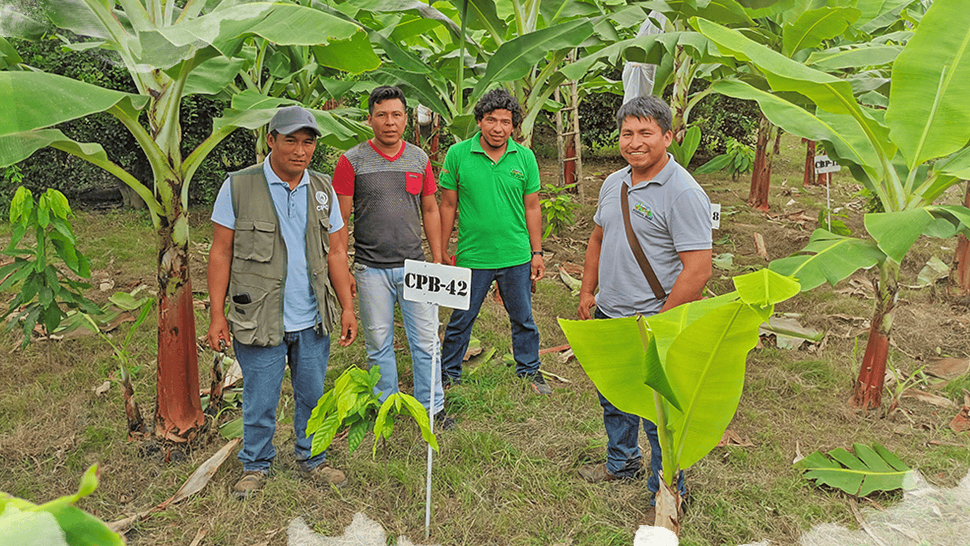 Productores/as agroforestales de Bolivia y Perú intercambian experiencias