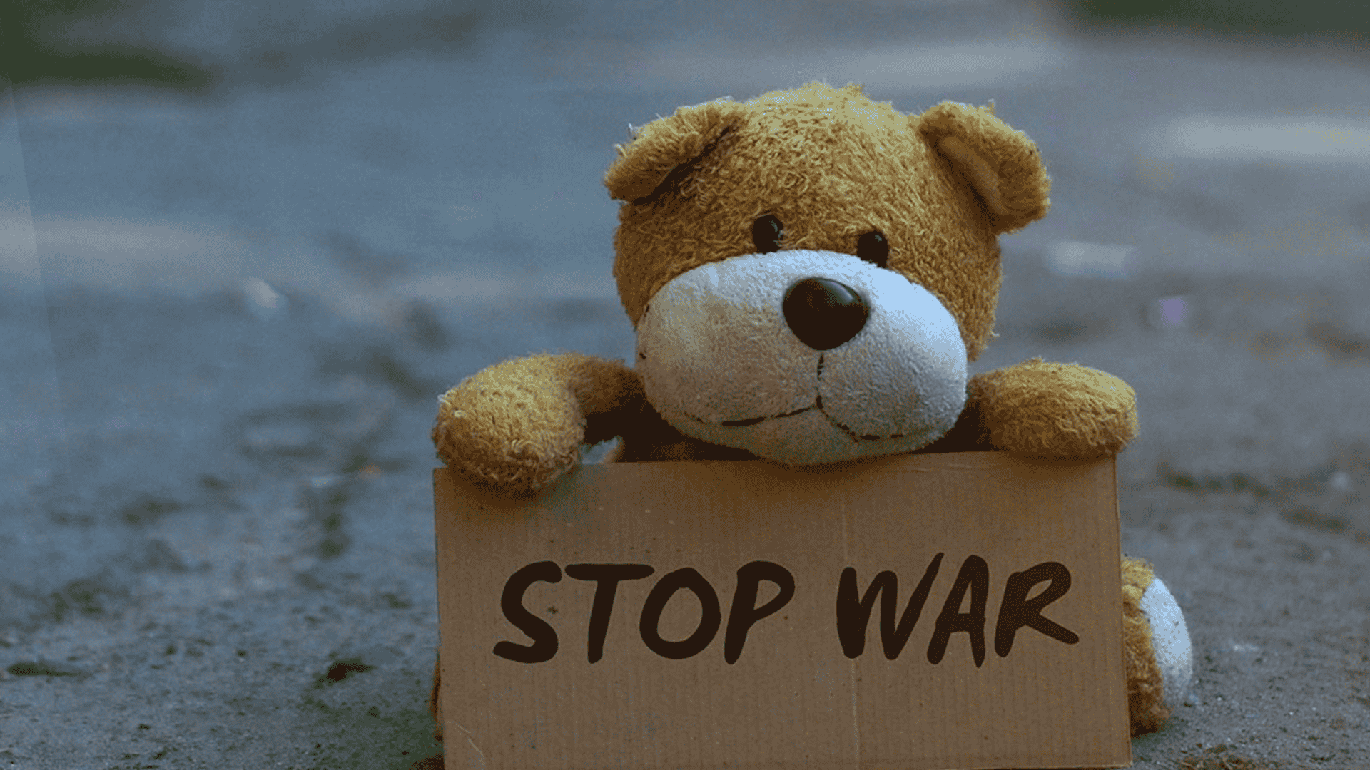 ¡No podemos callarnos!