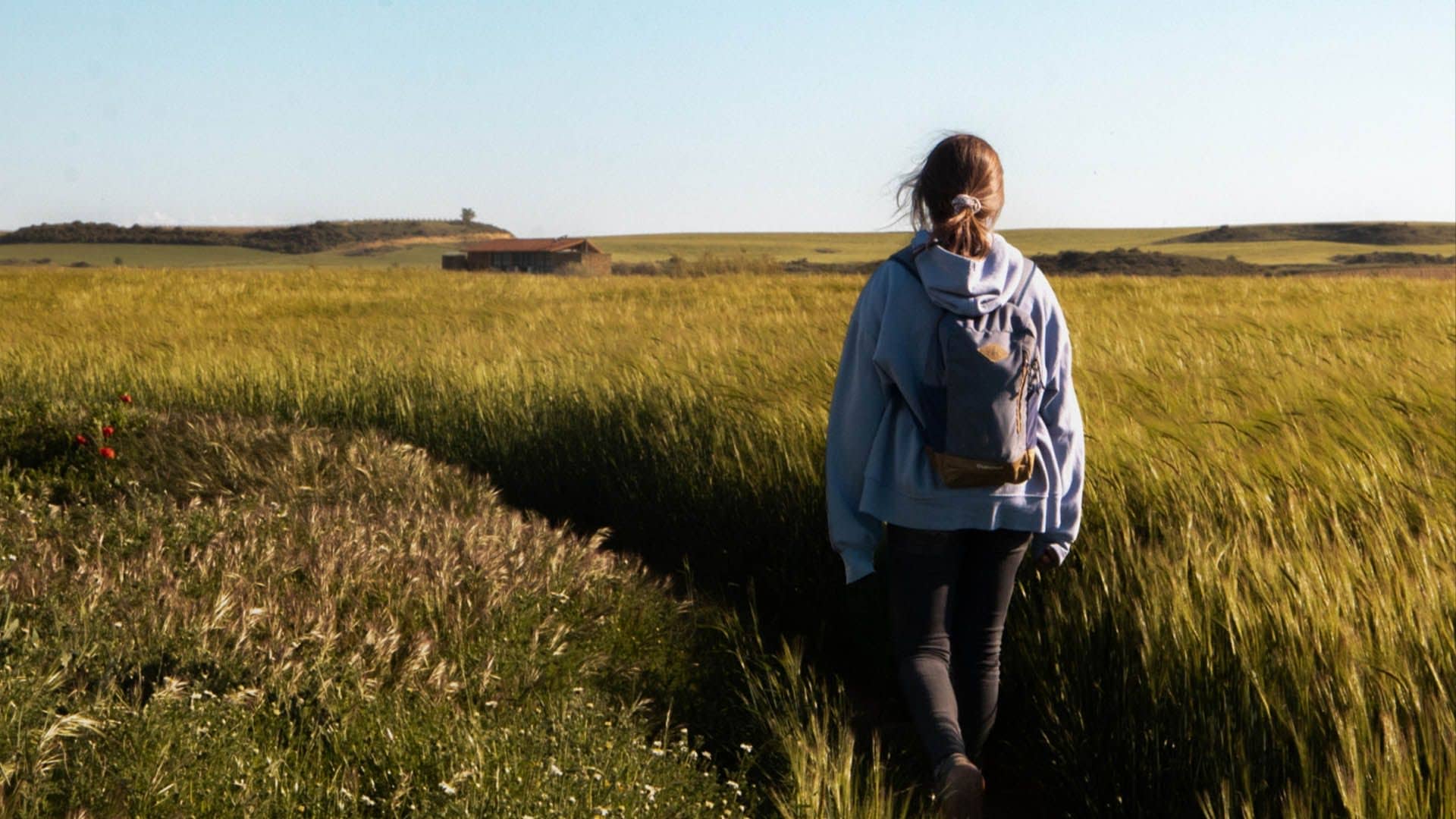 Diplomado Online en Acompañamiento Psicoespiritual – Versión 2025