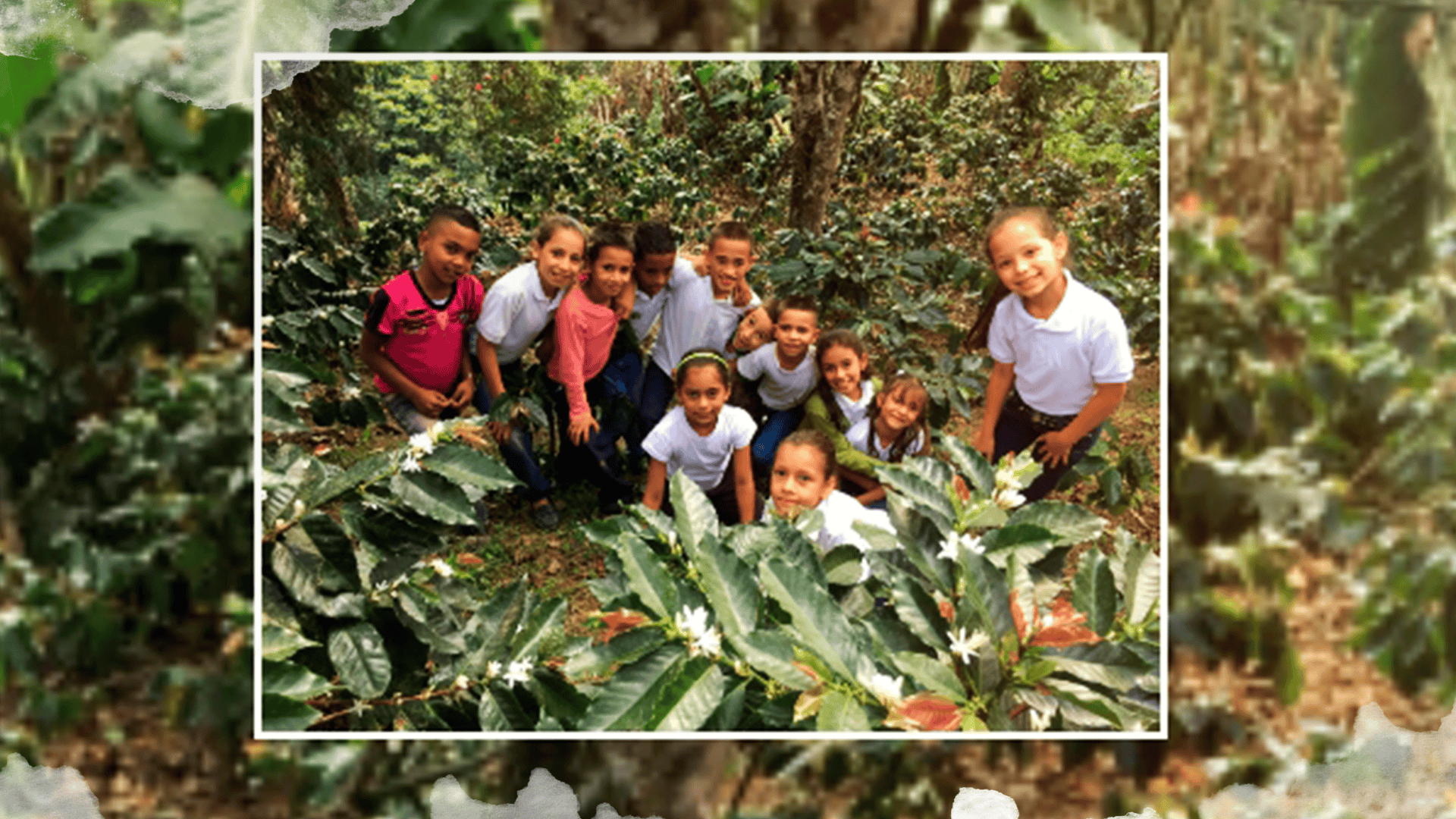 La “Ecología Integral” de Fe y Alegría