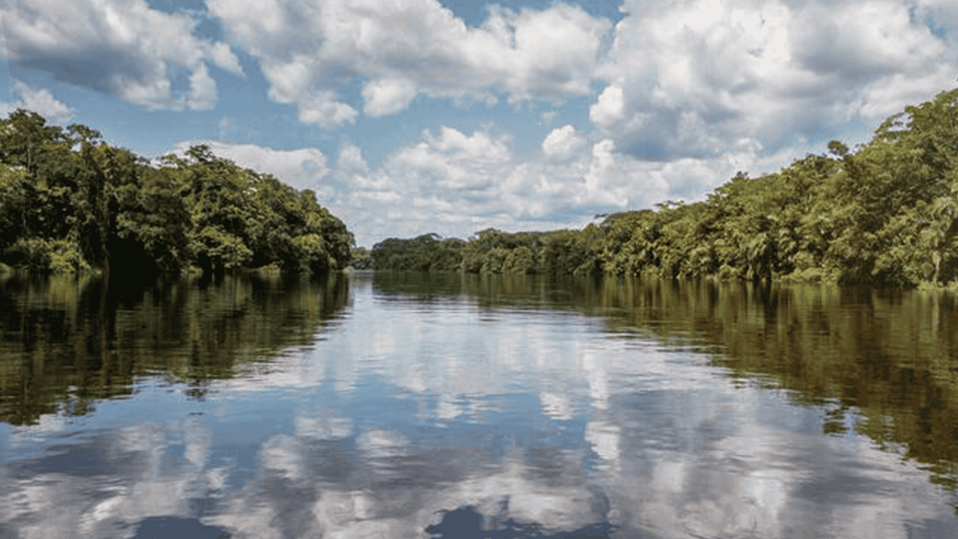 Novedades en el Movimiento Laudato SI’